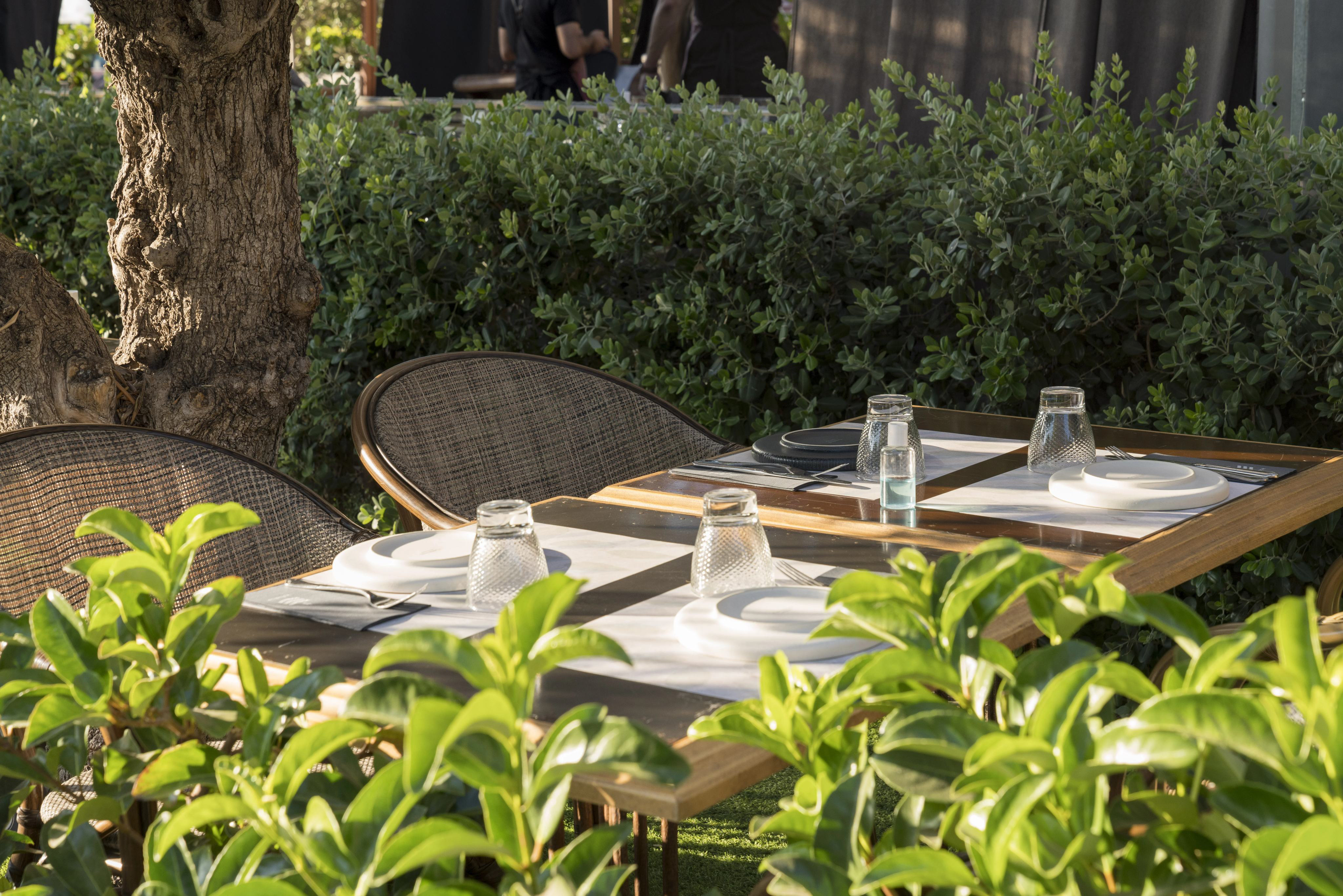 feedéλ Table Setting